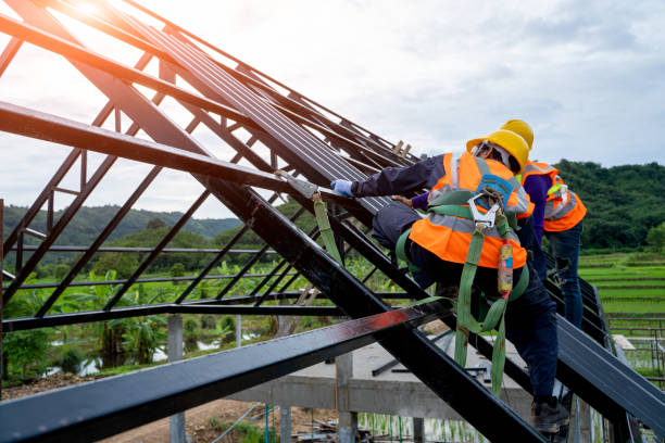 Best Roof Gutter Cleaning  in Double Springs, AL