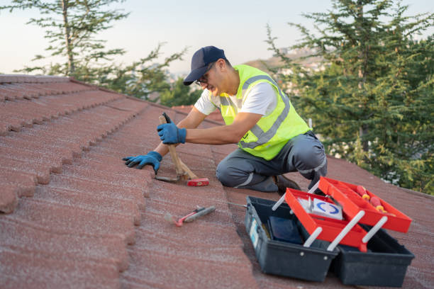 Best Metal Roofing Contractor  in Double Springs, AL