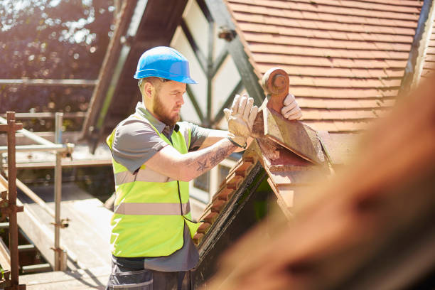 Best Local Roofing Companies  in Double Springs, AL