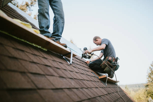 Best Gutter Installation and Roofing  in Double Springs, AL